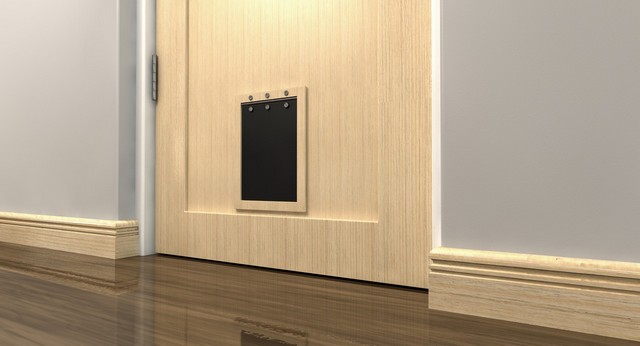 Cat Flap Installation Watford, Cassiobury, WD17