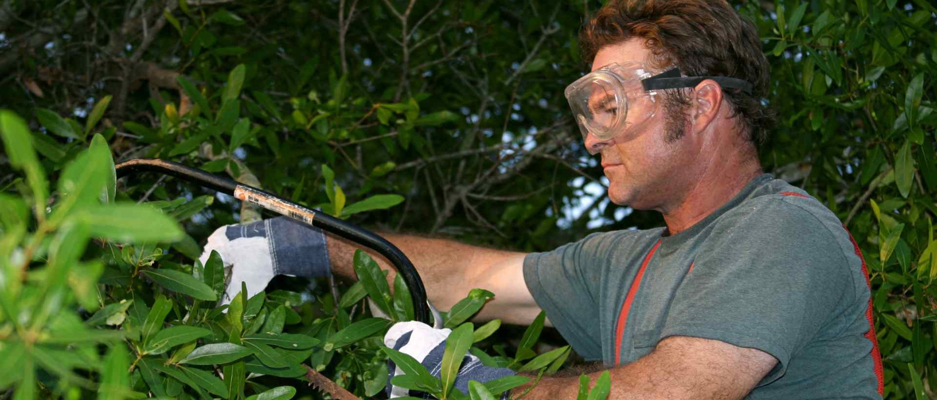 garden clearance WD17