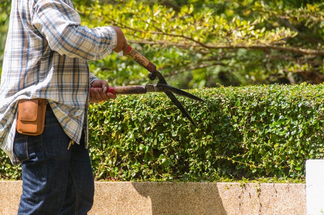 Garden Maintenance Watford, Cassiobury, WD17