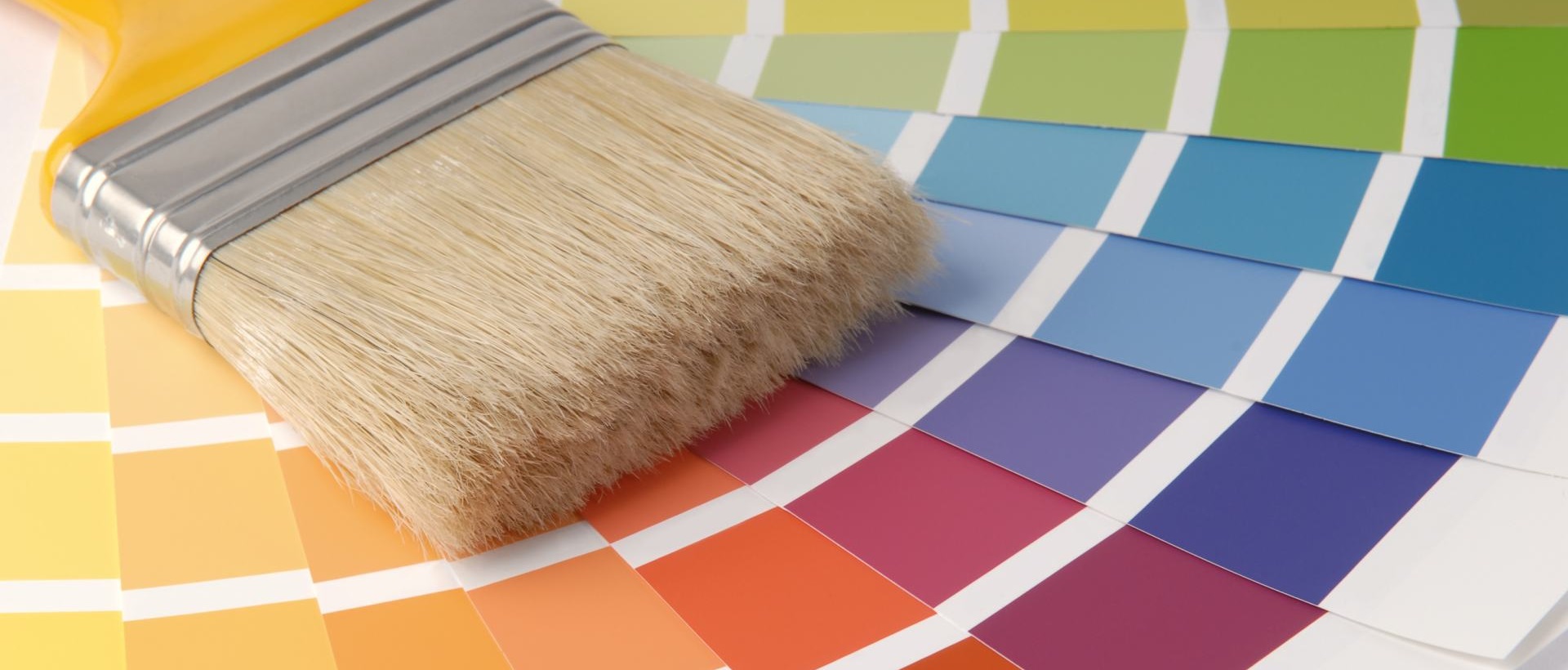 Painter WD17